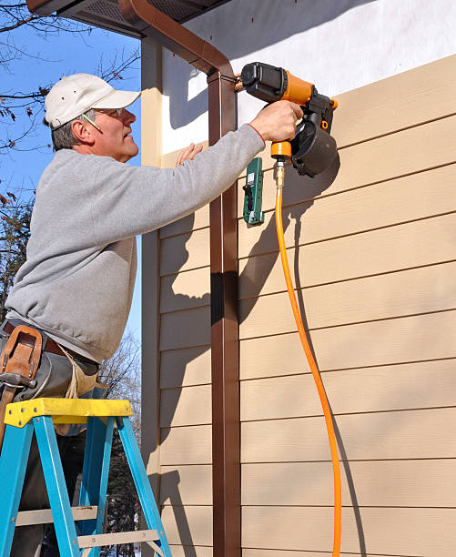 Best Aluminum Siding Installation  in Cerro Gordo, IL